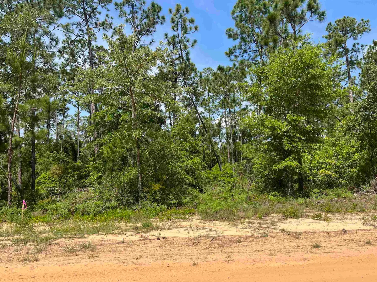 TBD Holly Springs Avenue, Alford, FL 32420 - #1