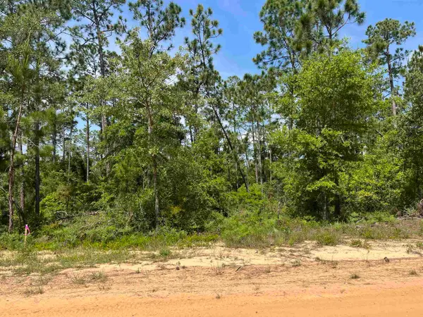 TBD Holly Springs Avenue, Alford, FL 32420