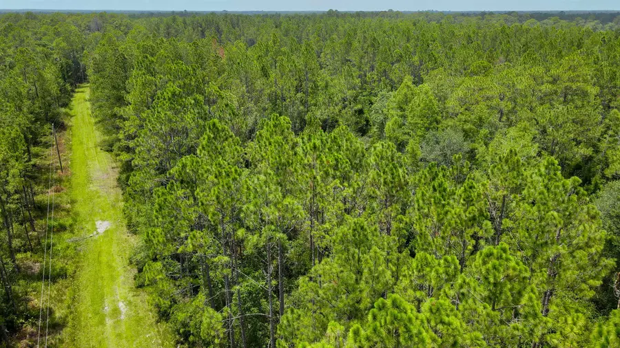 Lot 115 SW Pier Road, Greenville, FL 32331 - Image #2