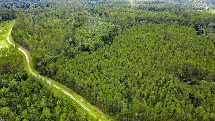 Lot 122 SW Oregon Trail, Greenville, FL 32331 - Image #2