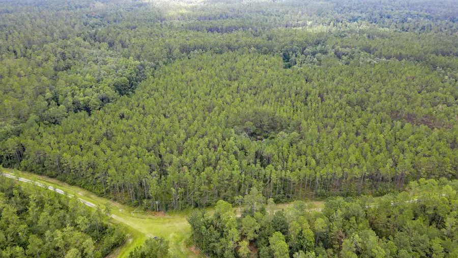 Lot 122 SW Oregon Trail, Greenville, FL 32331 - Image #3