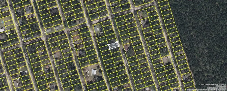 Block 20 Lot 40 Rochelsie Road, Crawfordville, FL 32327 - Image #3