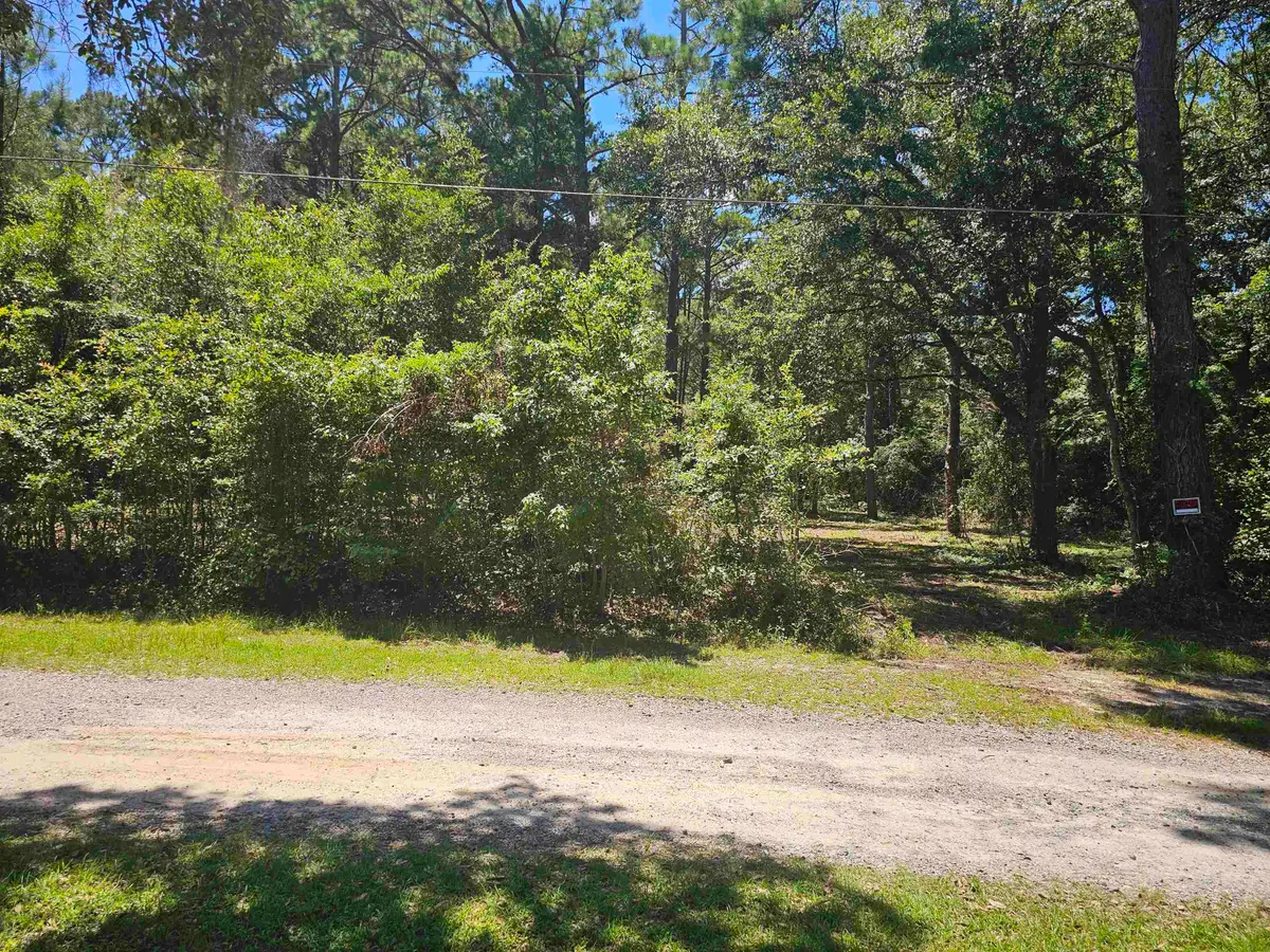 0 Carmel Drive, Tallahassee, FL 32309 - Image #1