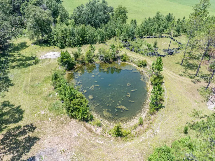 17362 90th Terrace, Live Oak, FL 32060 - Image #3