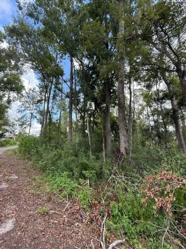 0 SW Bishop Avenue, Greenville, FL 32331 - Image #2