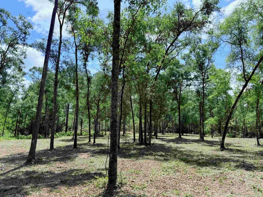 489 Ashville Highlands Drive, Greenville, FL 32331 - Image #2