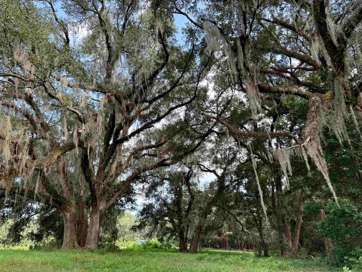 0 Walnut Grove Court, Tallahassee, FL 32305 - Image #1