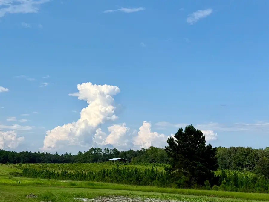 0 Walnut Grove Court, Tallahassee, FL 32305 - Image #2