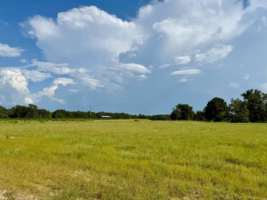 0 Walnut Grove Court, Tallahassee, FL 32305 - Image #3