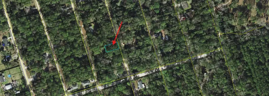 0 Neeley Road, Crawfordville, FL 32327 - Image #2