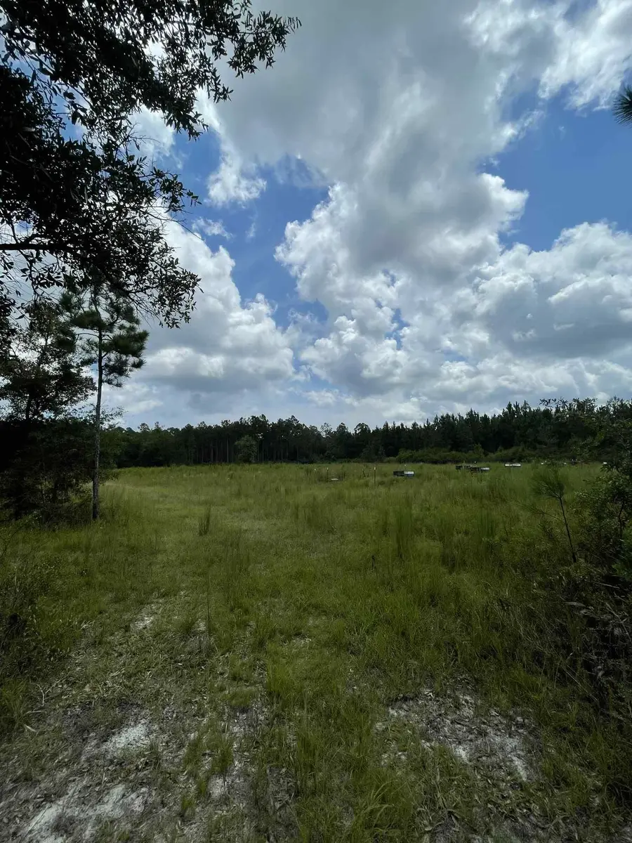 XX Otter Creek Road, Sopchoppy, FL 32358 - Image #3