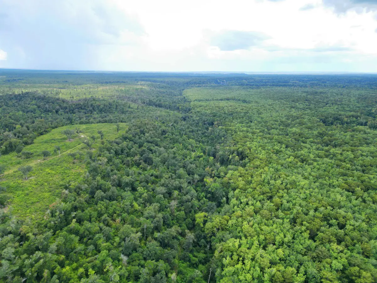 XXX NW Longleaf, Bristol, FL 32321 - Image #1