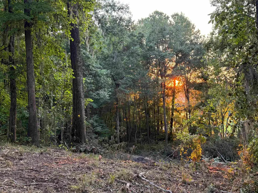 7604 Preservation Road, Tallahassee, FL 32312 - Image #3