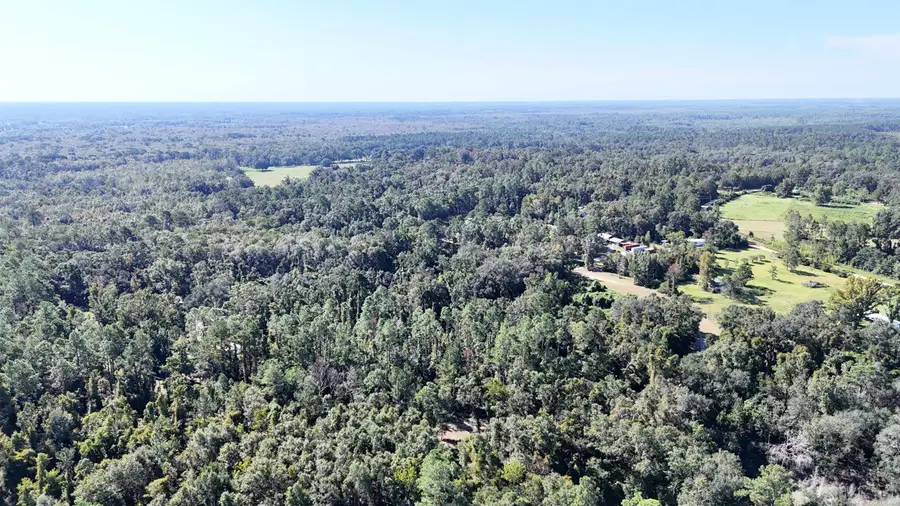 Vacant N Forest Court, Monticello, FL 32344 - Image #2