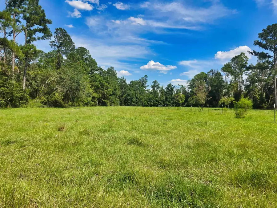 183 SW Jim Clark Road, Madison, FL 32340 - Image #3