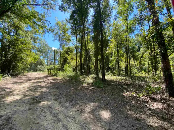 572 Deerwood Boulevard, Greenville, FL 32331