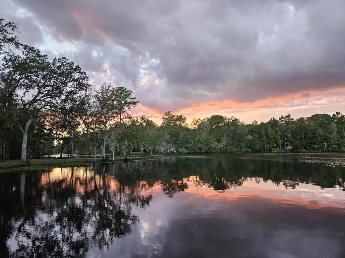 Lot 8 Sneads Drive, Greenville, FL 32331 - Image #1