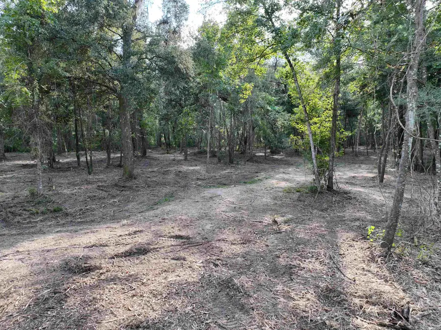 Lot 8 Sneads Drive, Greenville, FL 32331 - Image #3