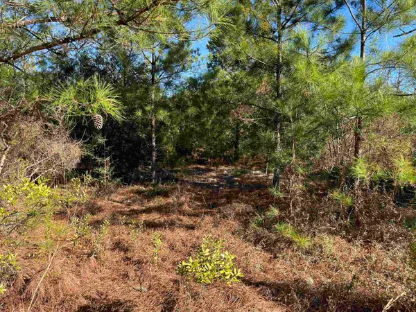 Fairview Road, Marianna, FL 32448