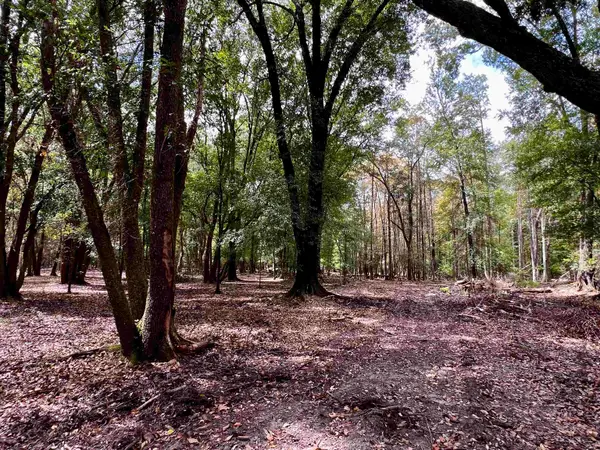Lot#4 Glory Road, Quincy, FL 32352
