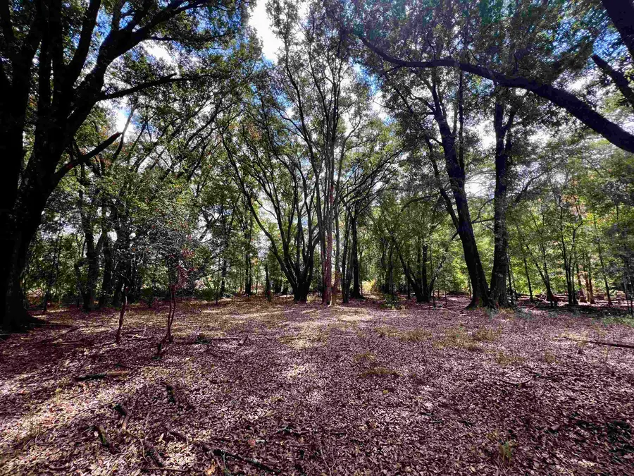 Lot#4 Glory Road, Quincy, FL 32352 - Image #3
