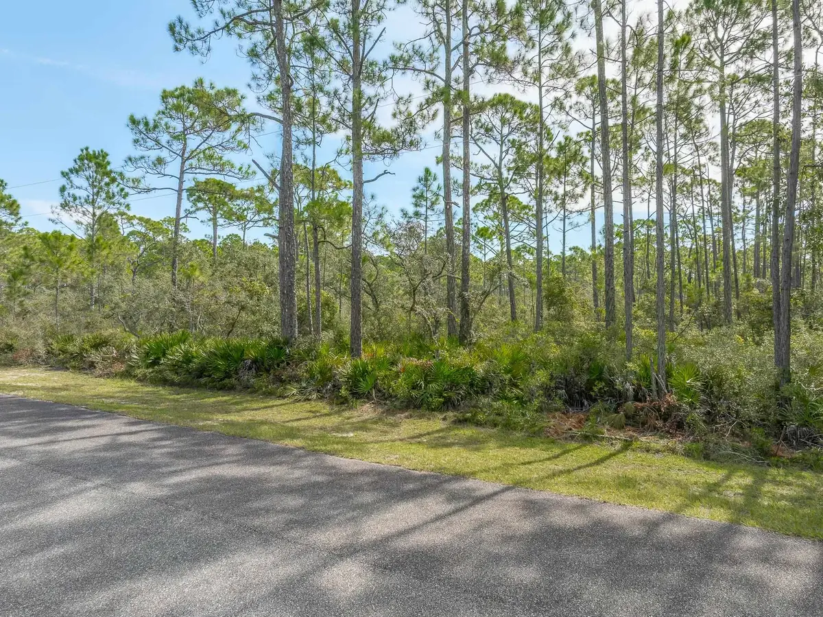 Lot 3 Beechcraft Drive, Panacea, FL 32346 - Image #1
