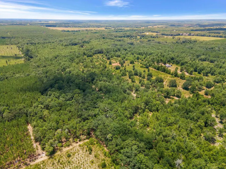 TBD NE Cedar Trail, Pinetta, FL 32350 - Image #2