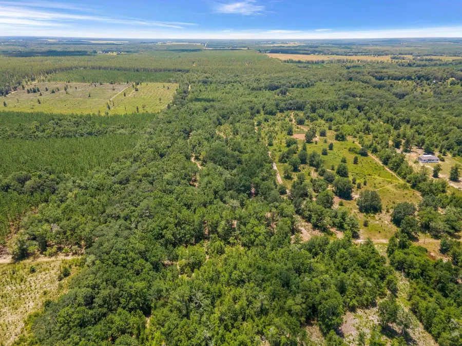 TBD NE Cedar Trail, Pinetta, FL 32350 - Image #3