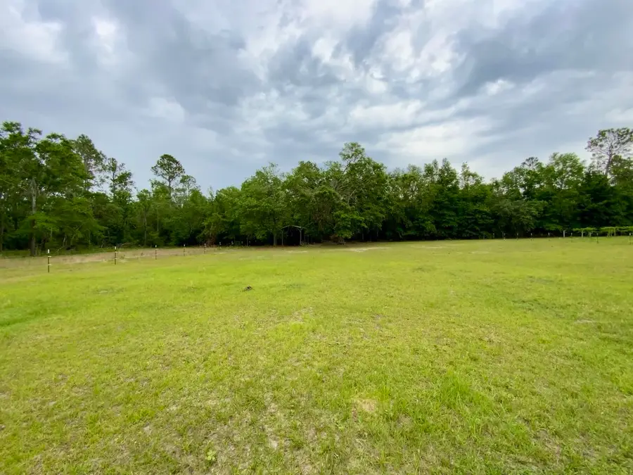 Vacant NE Bellville Road, Pinetta, FL 32350 - Image #2