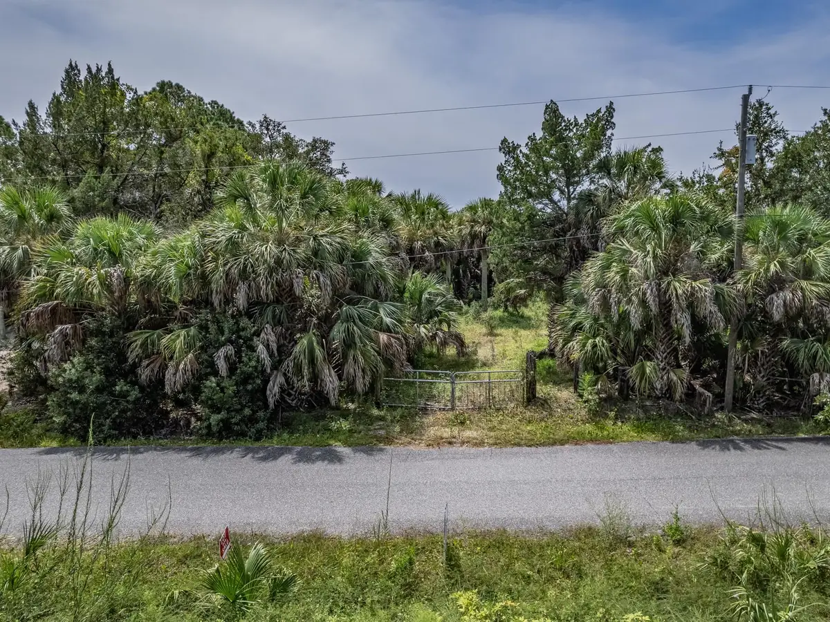 xx Blue Dolphin Drive, Crawfordville, FL 32327 - Image #1