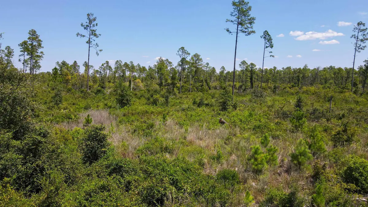 TBD Tract 5 Rogers Springs Road Road, Perry, FL 32348 - Image #1