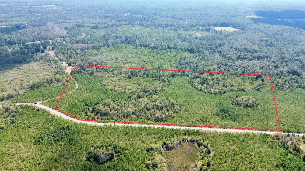 Lot 2 SW Wonderwood Street, Greenville, FL 32331 - Image #1