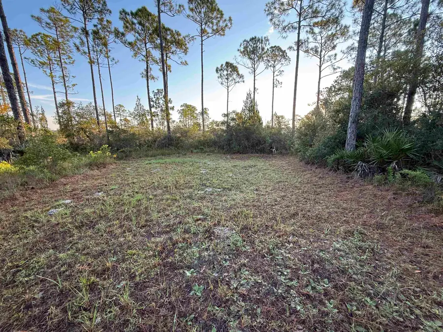 Address Withheld By Seller, Carrabelle, FL 32322 - Image #3