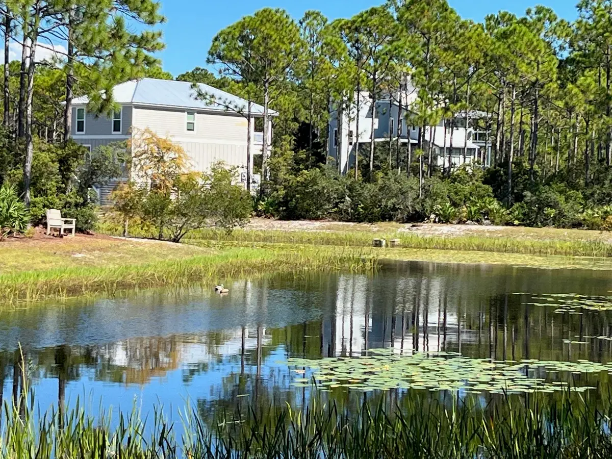 131 Lightning Bug Lane, Saint Teresa, FL 32358 - Image #1