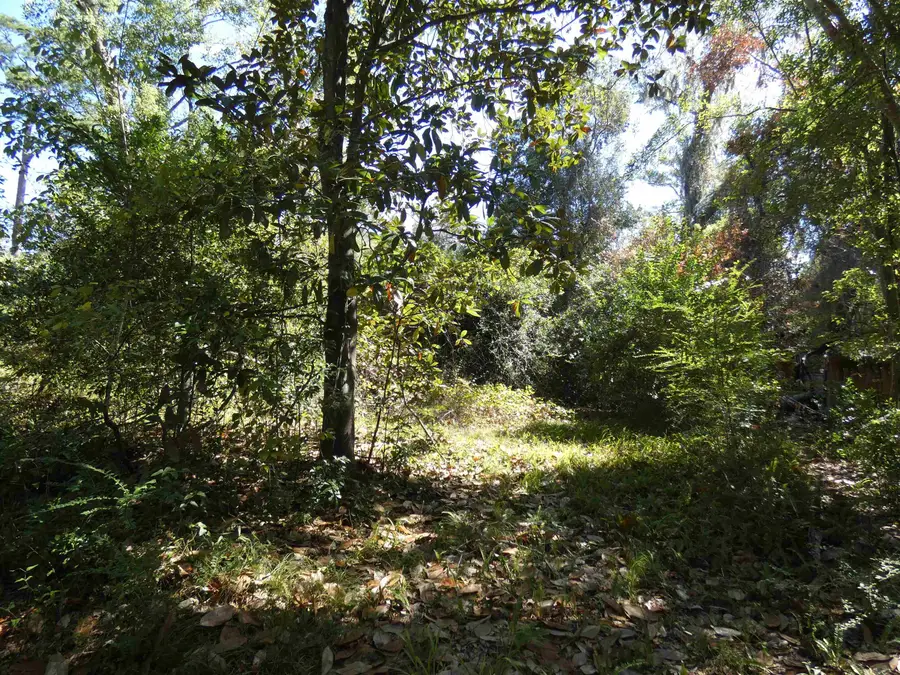 tbd Jackson Street, Monticello, FL 32344 - Image #2