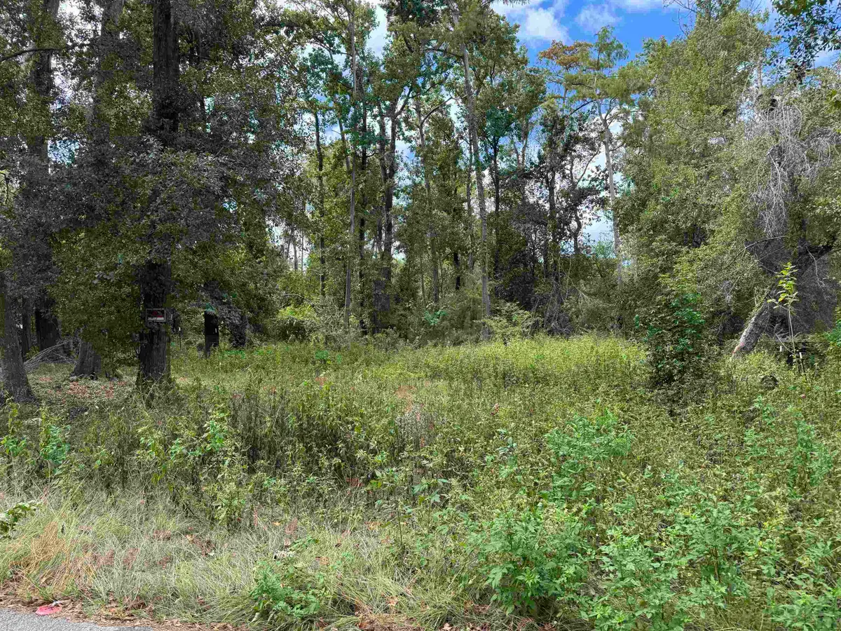 xxx Cactus Street, Tallahassee, FL 32304 - Image #1