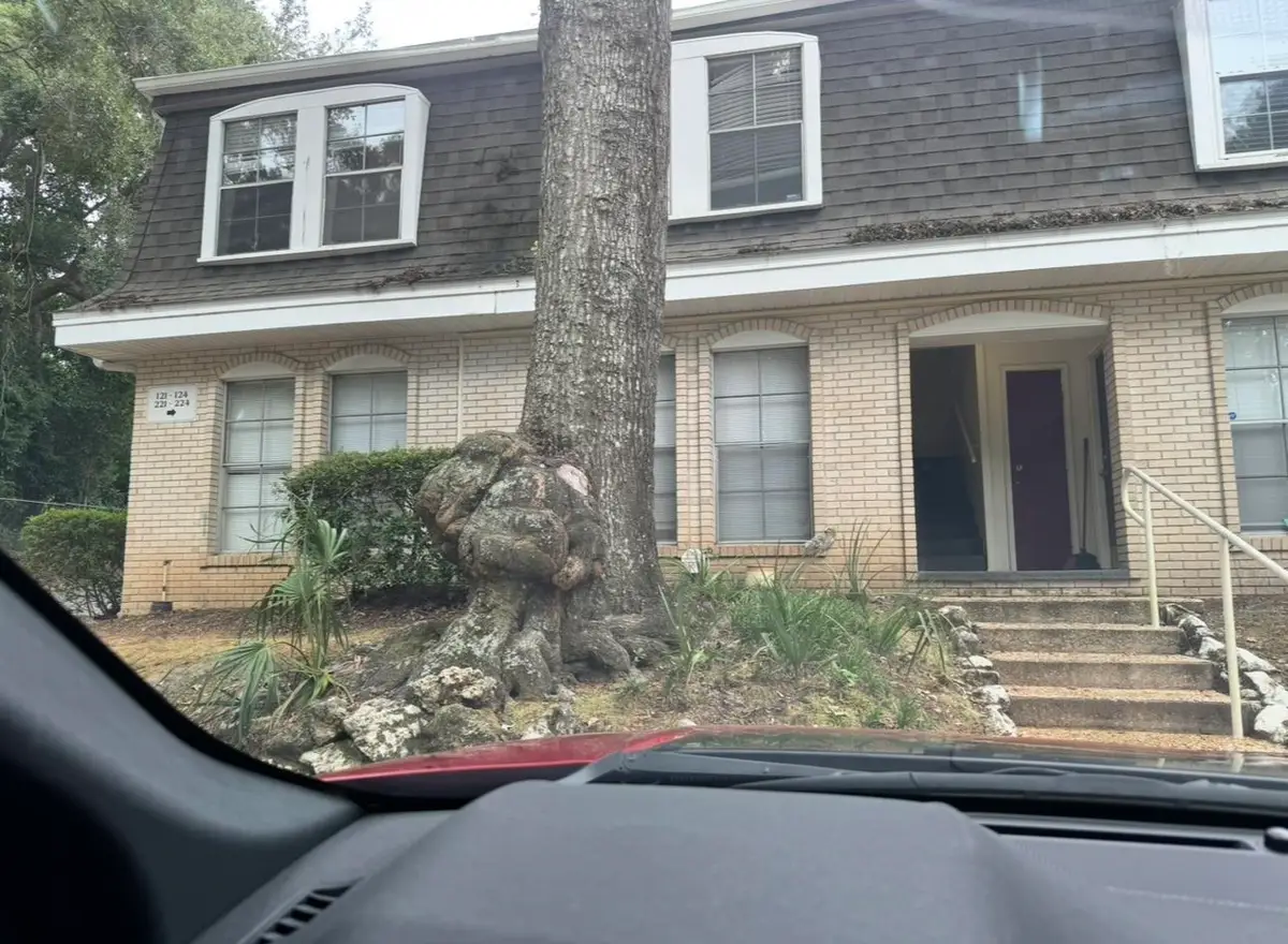 2020 Continental Avenue #221, Tallahassee, FL 32304 - Image #1