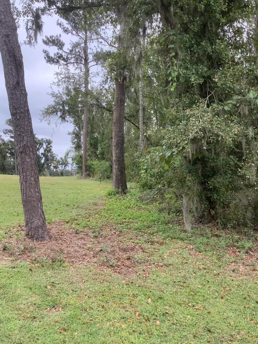 TBD SW Summerset Way, Madison, FL 32340 - Image #2