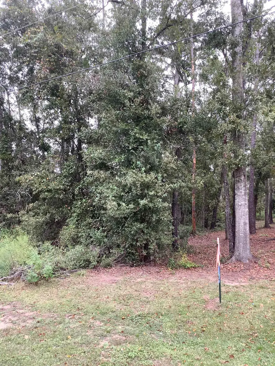 TBD SW Summerset Way, Madison, FL 32340 - Image #3