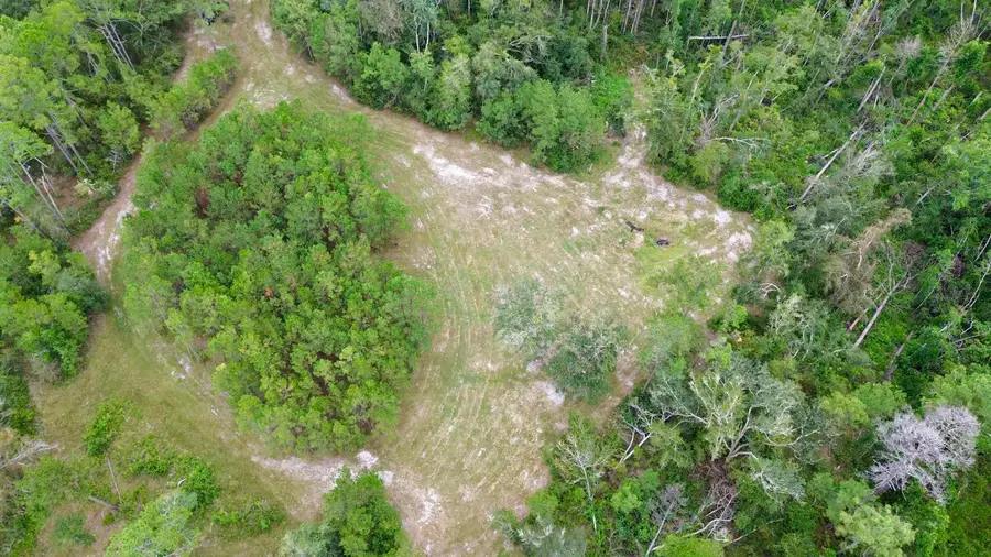 7440 Alton Wentworth Road, Greenville, FL 32331 - Image #3