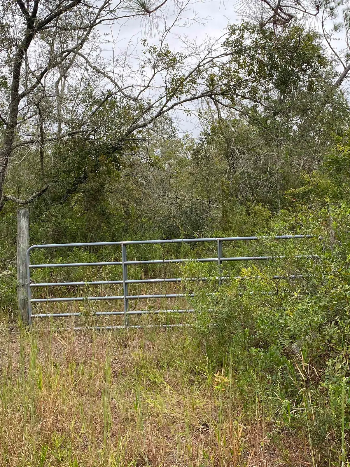 Lot 81 SW Kramer Road, Madison, FL 32340 - Image #1