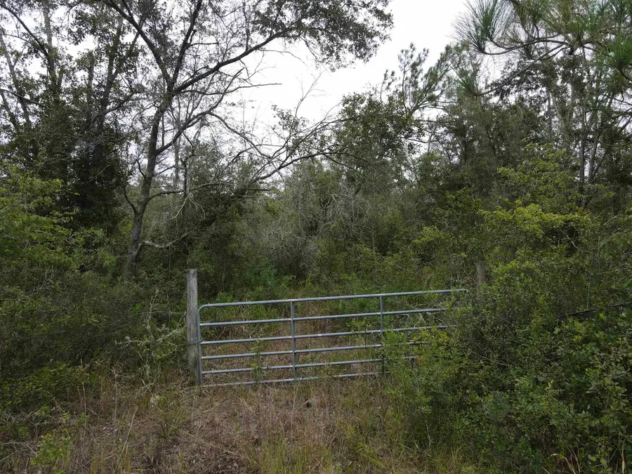 Lot 81 SW Kramer Road, Madison, FL 32340 - Image #3
