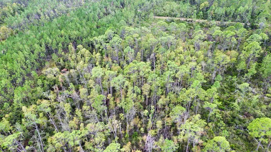 000 Circle Block Loop, Greenville, FL 32331 - Image #2