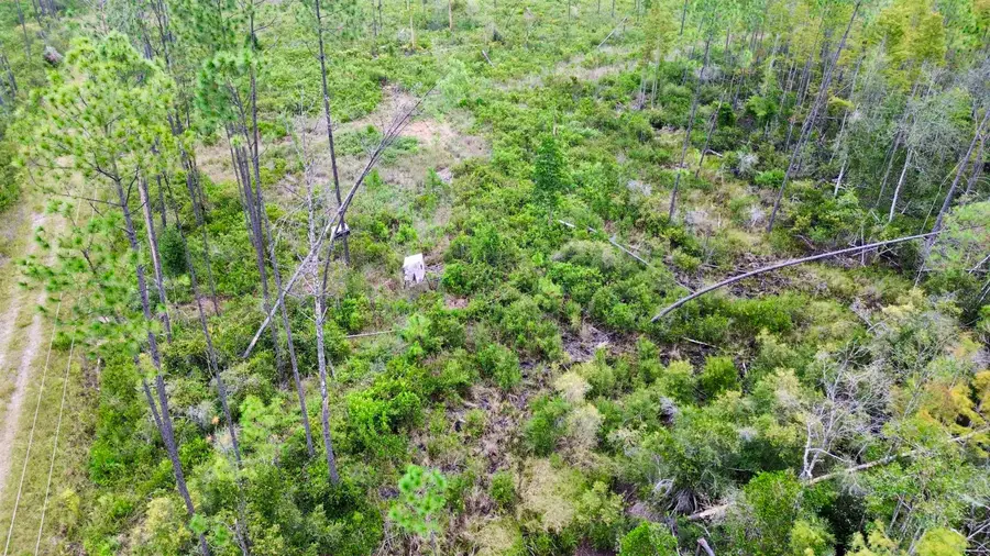 000 Circle Block Loop, Greenville, FL 32331 - Image #3