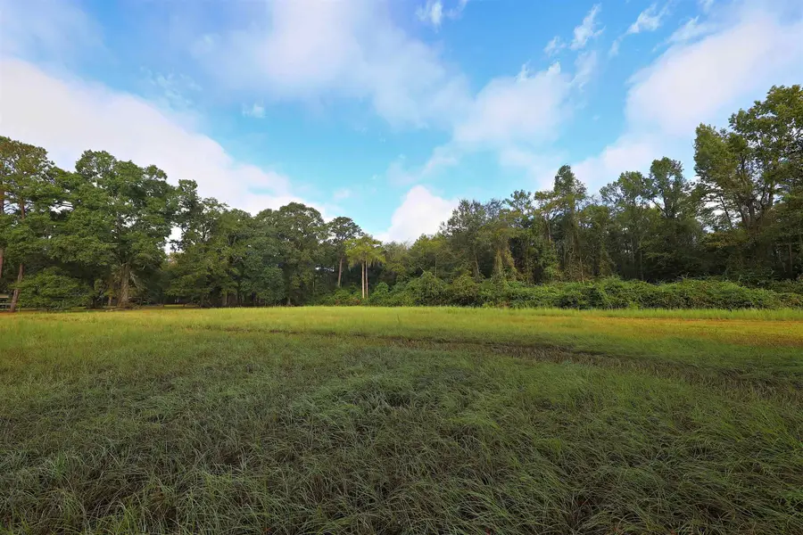 23481 N Us 19 Highway, Ochlocknee, GA 31773 - Image #2