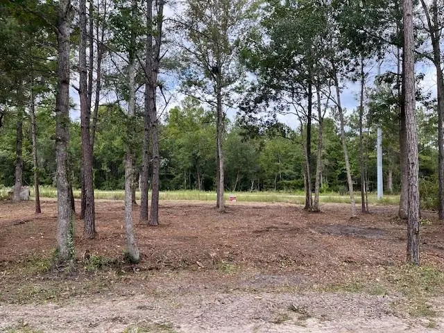xx Bernard Avenue, Sopchoppy, FL 32358 - Image #1