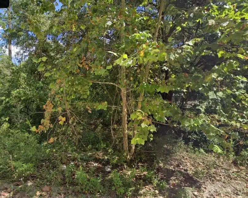 10059 Blue Waters Road, Tallahassee, FL 32305 - #1