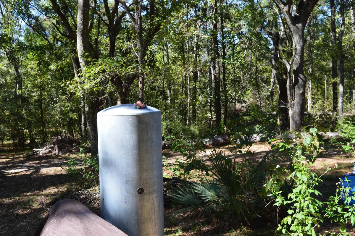 687 Smokehouse Farms Drive, Greenville, FL 32331 - Image #1