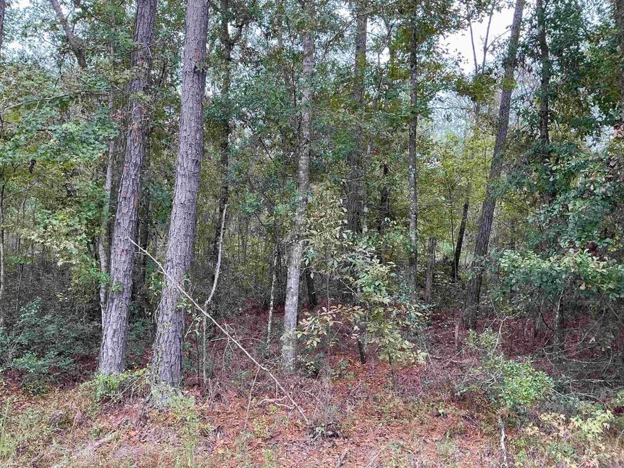 TBD S Salt Road, Monticello, FL 32344 - Image #2