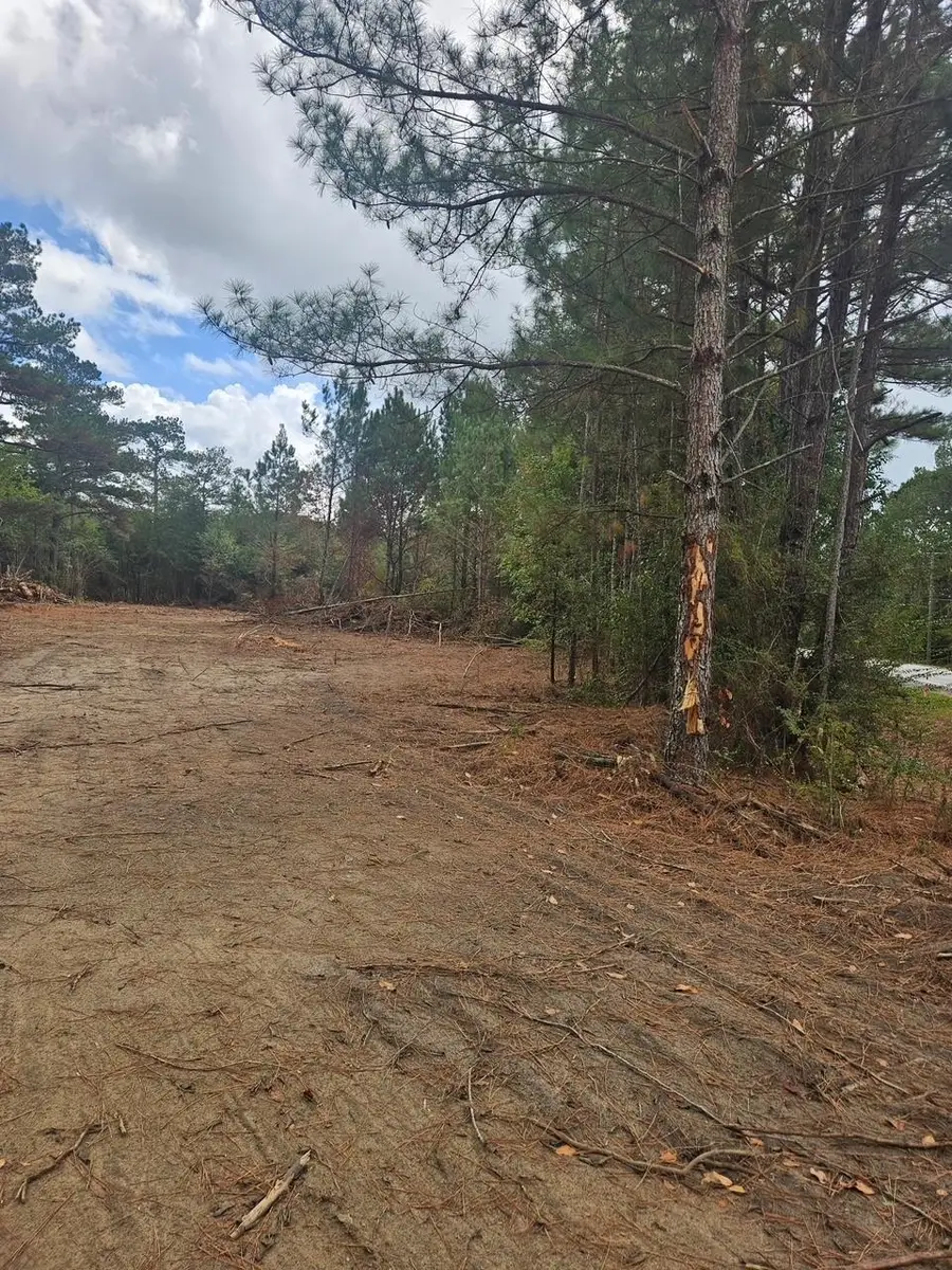 13958 Blue Star Highway, Gretna, FL 32332 - Image #3